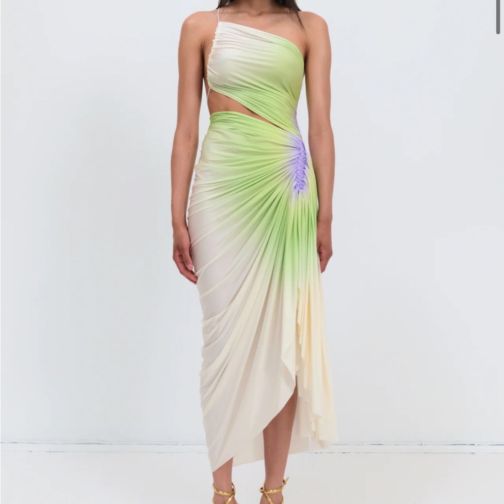 Fal-Ash Signature dress in green/purple